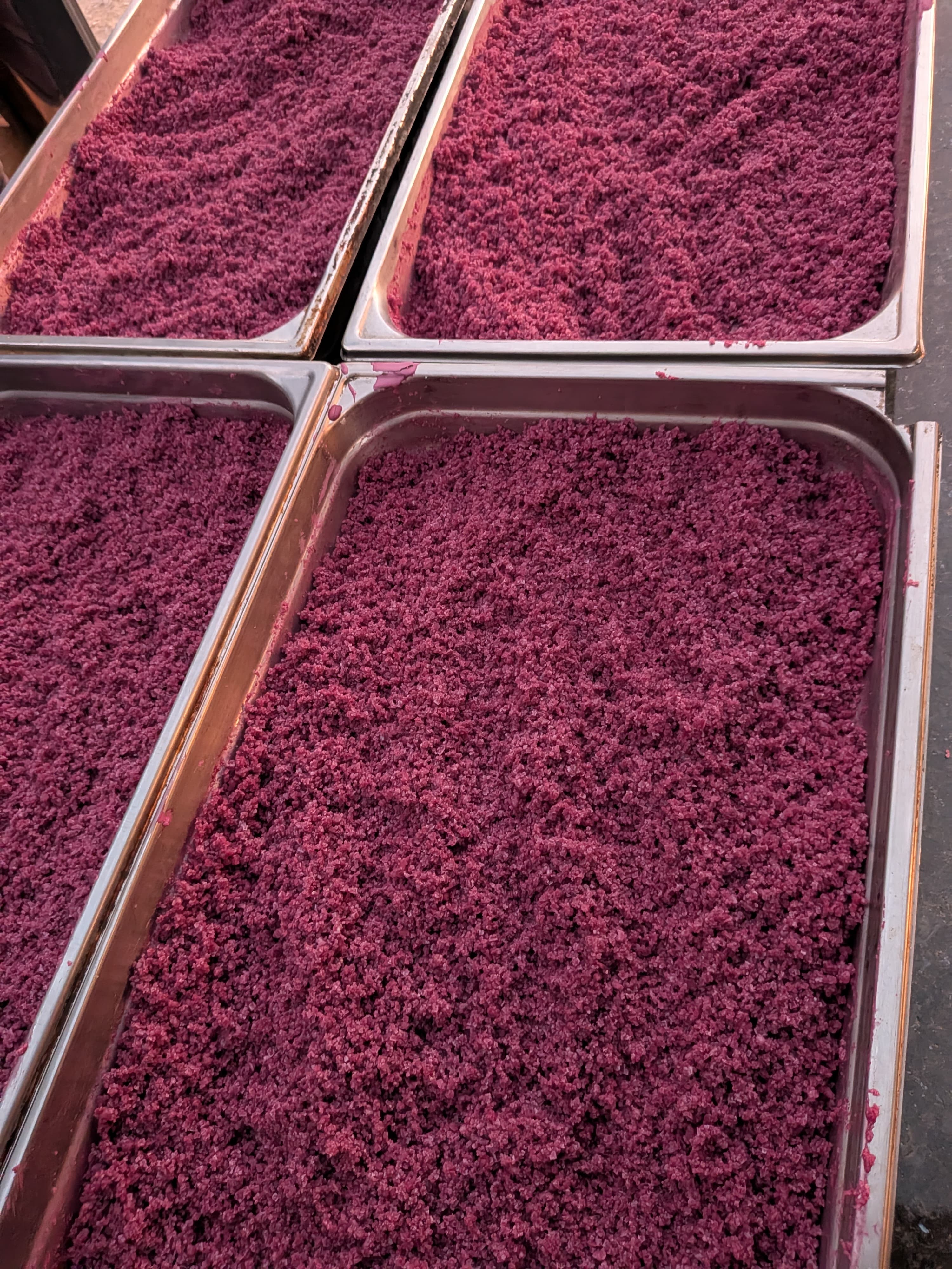 LE SEL DU VIGNERON