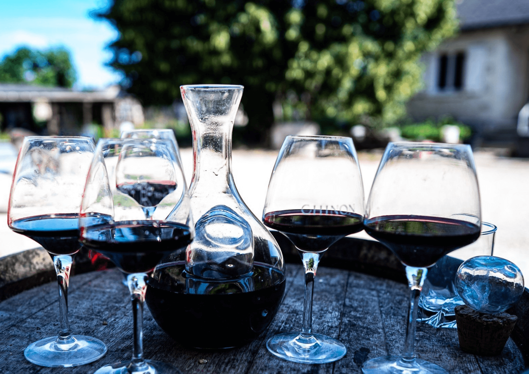 Dégustation au domaine de vin en AOC Chinon 