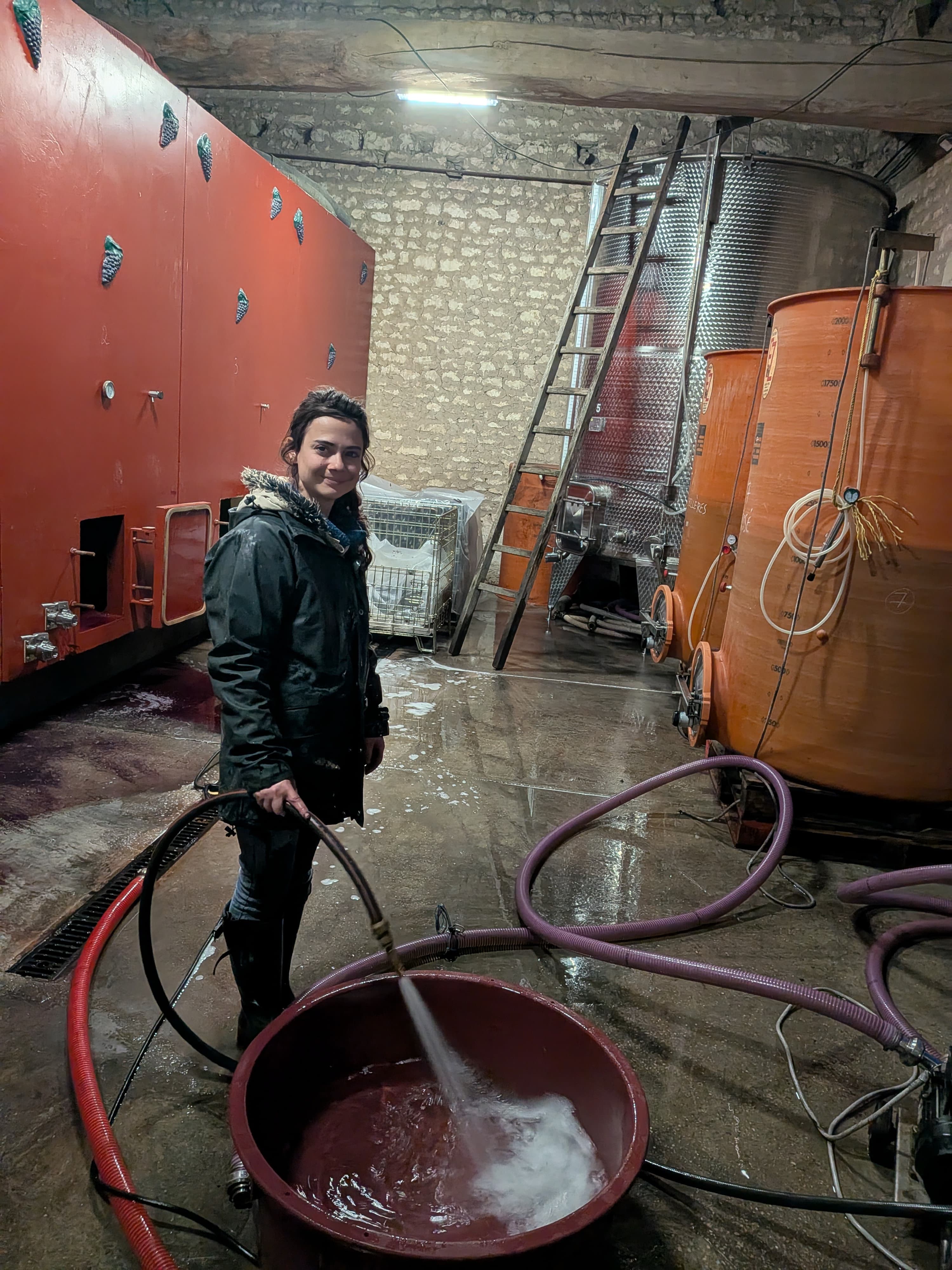 Vinification en cuves